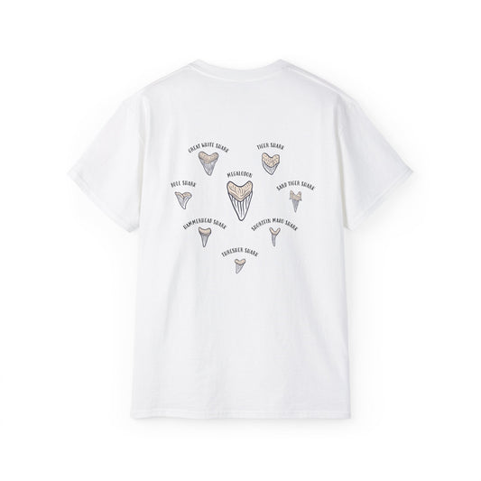 Shark Teeth