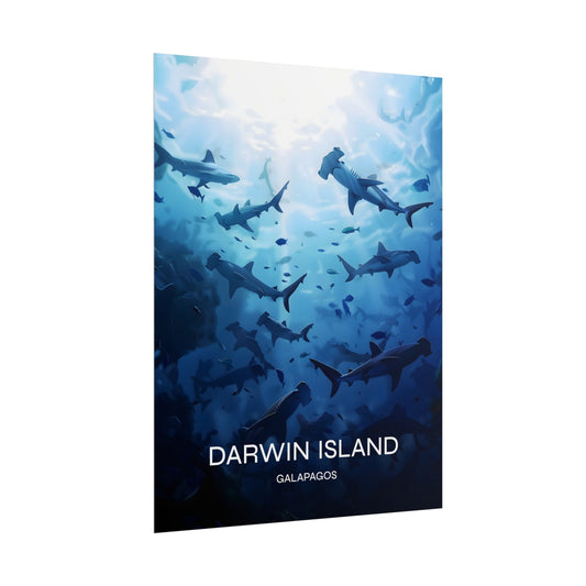 Hammerhead Darwin Island Galapagos Poster