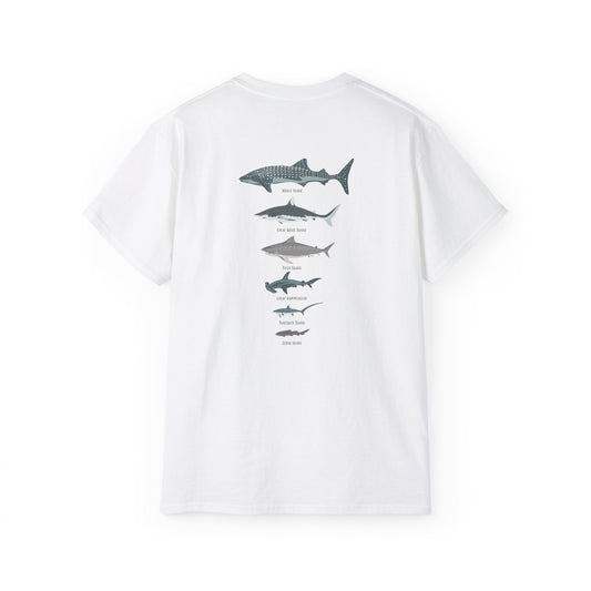 Shark Line-Up